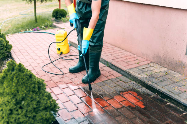 Best Power Washing Near Me  in Marine City, MI