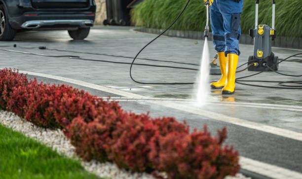 Best House Pressure Washing  in Marine City, MI