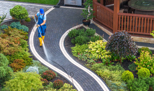 Best Pressure Washing Company Near Me  in Marine City, MI